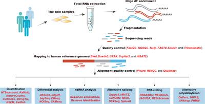 Maximizing the Utility of Transcriptomics Data in Inflammatory Skin Diseases